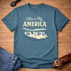 My America Niagara Falls t-shirt