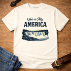 My America Niagara Falls t-shirt